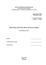 Prakses atskaite 'Mārketinga plāns SIA "X" plastmasas logiem', 1.