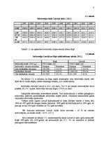 Prakses atskaite 'Mārketinga plāns SIA "X" plastmasas logiem', 8.