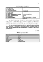 Prakses atskaite 'Mārketinga plāns SIA "X" plastmasas logiem', 14.