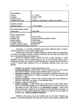 Prakses atskaite 'Mārketinga plāns SIA "X" plastmasas logiem', 15.