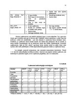 Prakses atskaite 'Mārketinga plāns SIA "X" plastmasas logiem', 18.