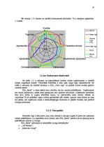 Prakses atskaite 'Mārketinga plāns SIA "X" plastmasas logiem', 19.