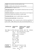 Prakses atskaite 'Kvalifikācijas prakse pirmsskolā', 20.