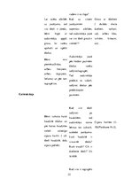 Prakses atskaite 'Kvalifikācijas prakse pirmsskolā', 22.