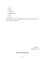 Prakses atskaite 'Kvalifikācijas prakse pirmsskolā', 29.