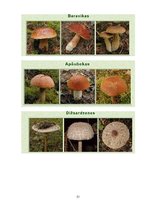 Prakses atskaite 'Kvalifikācijas prakse pirmsskolā', 51.