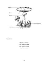 Prakses atskaite 'Kvalifikācijas prakse pirmsskolā', 54.