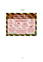 Prakses atskaite 'Kvalifikācijas prakse pirmsskolā', 56.