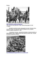 Konspekts 'Staļins un Hitlers līdzīgās situācijās', 2.