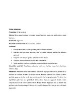 Prakses atskaite 'Kvalifikācijas prakse pirmsskolā', 3.