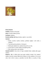 Prakses atskaite 'Kvalifikācijas prakse pirmsskolā', 5.