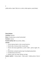 Prakses atskaite 'Kvalifikācijas prakse pirmsskolā', 6.