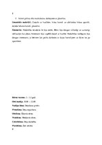 Prakses atskaite 'Kvalifikācijas prakse pirmsskolā', 8.