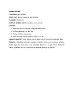 Prakses atskaite 'Kvalifikācijas prakse pirmsskolā', 13.