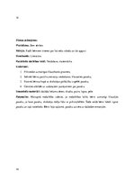 Prakses atskaite 'Kvalifikācijas prakse pirmsskolā', 14.