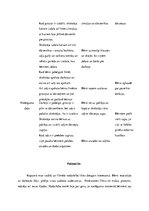 Prakses atskaite 'Kvalifikācijas prakse pirmsskolā', 19.