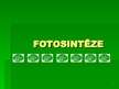 Prezentācija 'Fotosintēze', 1.