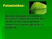 Prezentācija 'Fotosintēze', 2.