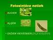 Prezentācija 'Fotosintēze', 4.