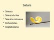 Prezentācija 'Sviests, tā ražošana un uzturvērība', 2.