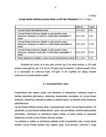 Referāts 'Valsts Centrālās bankas loma tirgus ekonomikā', 17.