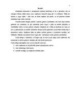 Referāts 'Jaunizveidota uzņēmuma mārketinga vides analīze un darbības plānošana', 4.