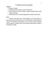 Referāts 'Jaunizveidota uzņēmuma mārketinga vides analīze un darbības plānošana', 5.