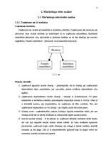 Referāts 'Jaunizveidota uzņēmuma mārketinga vides analīze un darbības plānošana', 6.