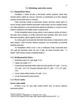 Referāts 'Jaunizveidota uzņēmuma mārketinga vides analīze un darbības plānošana', 11.