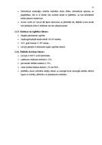 Referāts 'Jaunizveidota uzņēmuma mārketinga vides analīze un darbības plānošana', 13.