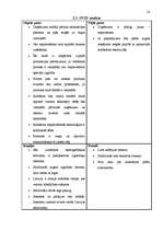 Referāts 'Jaunizveidota uzņēmuma mārketinga vides analīze un darbības plānošana', 14.