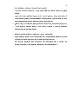 Referāts 'Jaunizveidota uzņēmuma mārketinga vides analīze un darbības plānošana', 15.