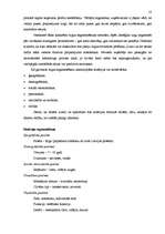 Referāts 'Jaunizveidota uzņēmuma mārketinga vides analīze un darbības plānošana', 18.