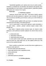 Referāts 'Jaunizveidota uzņēmuma mārketinga vides analīze un darbības plānošana', 19.