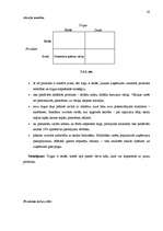 Referāts 'Jaunizveidota uzņēmuma mārketinga vides analīze un darbības plānošana', 20.