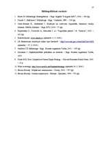 Referāts 'Jaunizveidota uzņēmuma mārketinga vides analīze un darbības plānošana', 27.