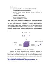 Referāts 'Mazo un vidējo uzņēmumu būtība un to skaita dinamika Latvijā', 5.