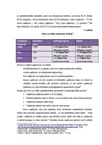 Referāts 'Mazo un vidējo uzņēmumu būtība un to skaita dinamika Latvijā', 6.