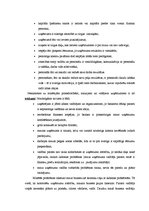 Referāts 'Mazo un vidējo uzņēmumu būtība un to skaita dinamika Latvijā', 8.