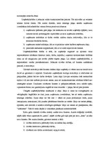 Referāts 'Mazo un vidējo uzņēmumu būtība un to skaita dinamika Latvijā', 13.