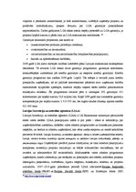 Referāts 'Mazo un vidējo uzņēmumu būtība un to skaita dinamika Latvijā', 23.