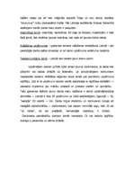 Referāts 'Bezdarbs Latvijā', 13.