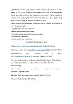 Referāts 'Darba vides riski un preventīvie pasākumi grāmatvedim', 17.