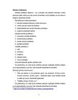 Referāts 'Karš', 3.