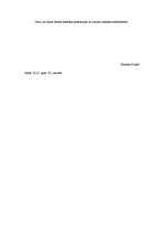 Paraugs 'Motivācijas vēstule', 2.