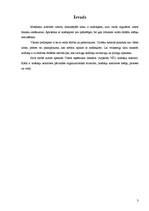 Referāts 'Valsts ieņēmuma dienesta nodokļu kontrole', 3.