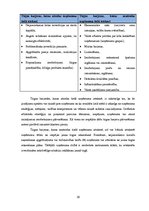 Referāts 'Klasteru pieejas izmantošana uzņēmumu konkurētspējas palielināšanai', 16.