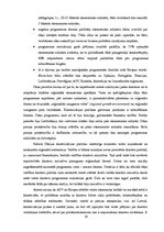 Referāts 'Klasteru pieejas izmantošana uzņēmumu konkurētspējas palielināšanai', 19.