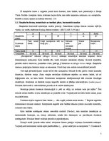 Referāts 'Jāzeps Vītols "Karaļmeita"', 5.