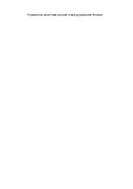 Referāts 'Управление валютным риском в международном бизнесе', 1.